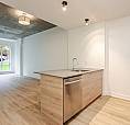 31/2,1,chambres,louer,rent,centre-ville,montréal,mont-royal