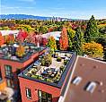 3445 Porter Street Vancouver, British Columbia