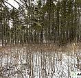 60 000$ - Terrain Résidentiel À Vendre À St-Marc-Du-Lac-Long
