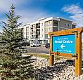 Pet-Friendly One Bedroom One Bath With In-Suite Laundry For Rent