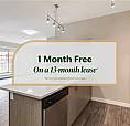 In-Suite Laundry, Stove, Oven, Fridge, Dishwasher, And Microwave