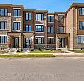 172 Thomas Catterall Street Markham (Cornell), Ontario