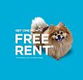 Pet-friendly Three Bedroom 2.5 Bath Townhome With In-suite Laund