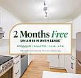 Beautifully Renovated Suites With Walk-in Closets | Gym, Social 