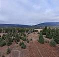 Squilax-Anglemont Road Lot# 1 Magna Bay, British Columbia