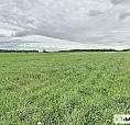 750 000$ - Terre Agricole À Vendre À St-Gerard-Majella