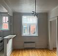 3 1/2 Dans Un Charmant Immeuble À Deux Pas Du Mile End
