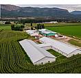40 Mathews Road Enderby, British Columbia