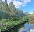 34 000$ - Terrain Résidentiel À Vendre À Thorne