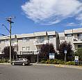 2 Bedroom Apartment For Rent - 3148 Barons Road