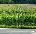 1 200 000$ - Terre Agricole À Vendre À St-David