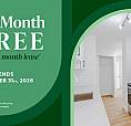 Gym, Resident Library, Dog Run And More | Beautifully Renovated 