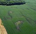 Real Estate Auction - 321 Acres W/ Home Parcel - Pine Falls, Mb