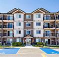 Pet-Friendly One Bedroom One Bath With In-Suite Laundry For Rent