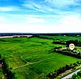 Limitless Possibilities With This 68.85 Acre Property