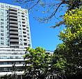 Unobstructed Park View 2-Bed Condo