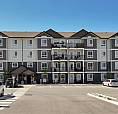 Pet-Friendly One Bedroom One Bath With In-Suite Laundry For Rent