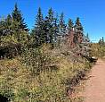 Vacant Land In Huntley 3 Acres $26,000.00