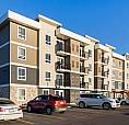 Pet-friendly One Bedroom One Bath With In-suite Laundry For Rent
