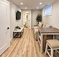 1 Bedroom 1 Bathroom Basement Suite Rosewood
