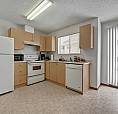 1 Bed X 1 Bath Apartment For Rent On 85Th Ave | $1210.00