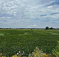 1048 Walton Avenue N North Perth (wallace), Ontario