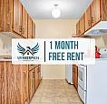 Studio Owl At 33 River Street - First Month Rent Free!