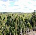 2 Ch. Du Rang 11 Litchfield, Quebec