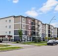 Pet-Friendly Two Bedroom One Bath With In-Suite Laundry For Rent