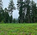 Pending Zoned 4 Season Rec/Residential Spruce Trees Wasagaming