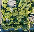 3530 142A Street Surrey, British Columbia