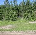 4.99 Beautiful Recreational/Country Residential Acres