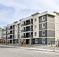 Pet-friendly One Bedroom One Bath With In-suite Laundry For Rent