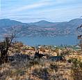 443 Matheson Road Okanagan Falls, British Columbia