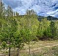 Highway 6 Lot# 4 Passmore, British Columbia
