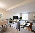 1 Bedroom Apartment For Rent - The Maples