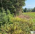 79 000$ - Terrain Résidentiel À Vendre À St-Ferréol-Les-Neiges