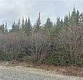 Cabin Lot #5