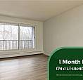 Comfortable, Pet-Friendly Apartments For Rent | Book A Showing T