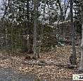 $65,000 - Residential Lot In Ste-Marguerite-Du-Lac-Masson