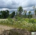 69 000$ - Terrain Récréatif À Vendre À St-Siméon-De-Bonaventure