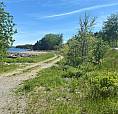 Ocean Frontage Land Right In The Heart Of Clarenville