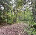 8588 Black Mountain Road Chase, British Columbia