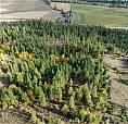 150 Crossridge Road Lot# Pl 7 Enderby, British Columbia