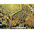 5102 Cranbrook Hill Road Prince George, British Columbia