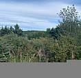 Ocean View Land Located In Scenic Plate Cove West