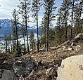 9779 3A Highway Unit# B Kuskanook, British Columbia