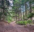 3945 Saunders Road Passmore, British Columbia