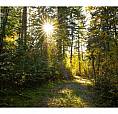 190 Twin Lakes Road Enderby, British Columbia