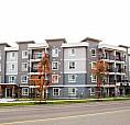 Pet-Friendly One Bedroom One Bath With In-Suite Laundry For Rent